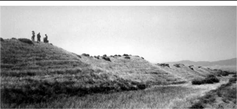 Рис. 3. Отрезок равнинного участка Гильгильчайской длинной стены. Вид с севера
